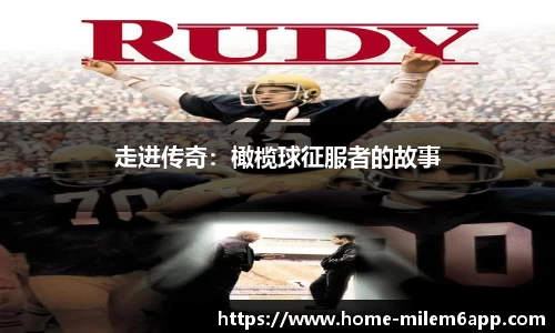 米乐体育官网