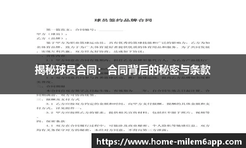 m6米乐体育
